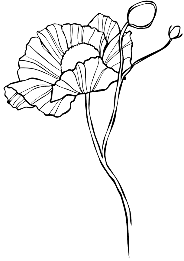 Compétences-SoPsycho