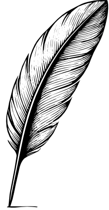 Témoignage-Plume-SoPsycho